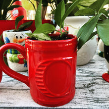 Load image into Gallery viewer, Mystery Plant Pot