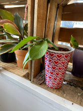 Load image into Gallery viewer, Mystery Plant Pot